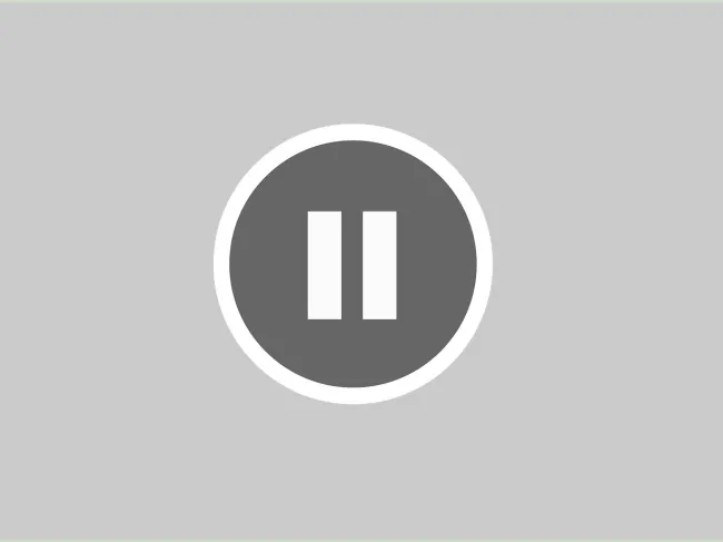 A pause sign